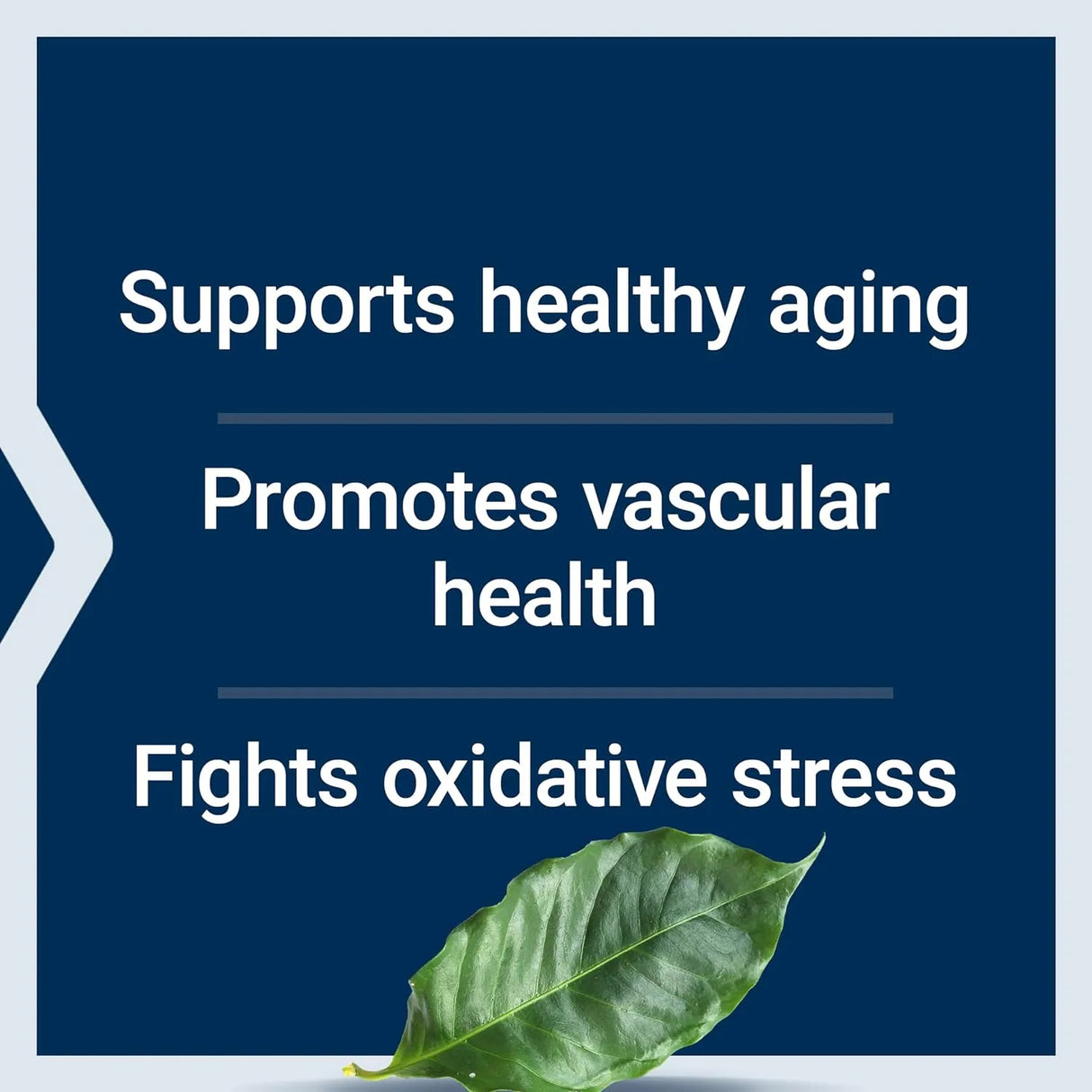 LIFE EXTENSION - Life Extension Pycnogenol French Maritime Pine Bark Extract 60 Capsulas - The Red Vitamin MX - Suplementos Alimenticios - {{ shop.shopifyCountryName }}