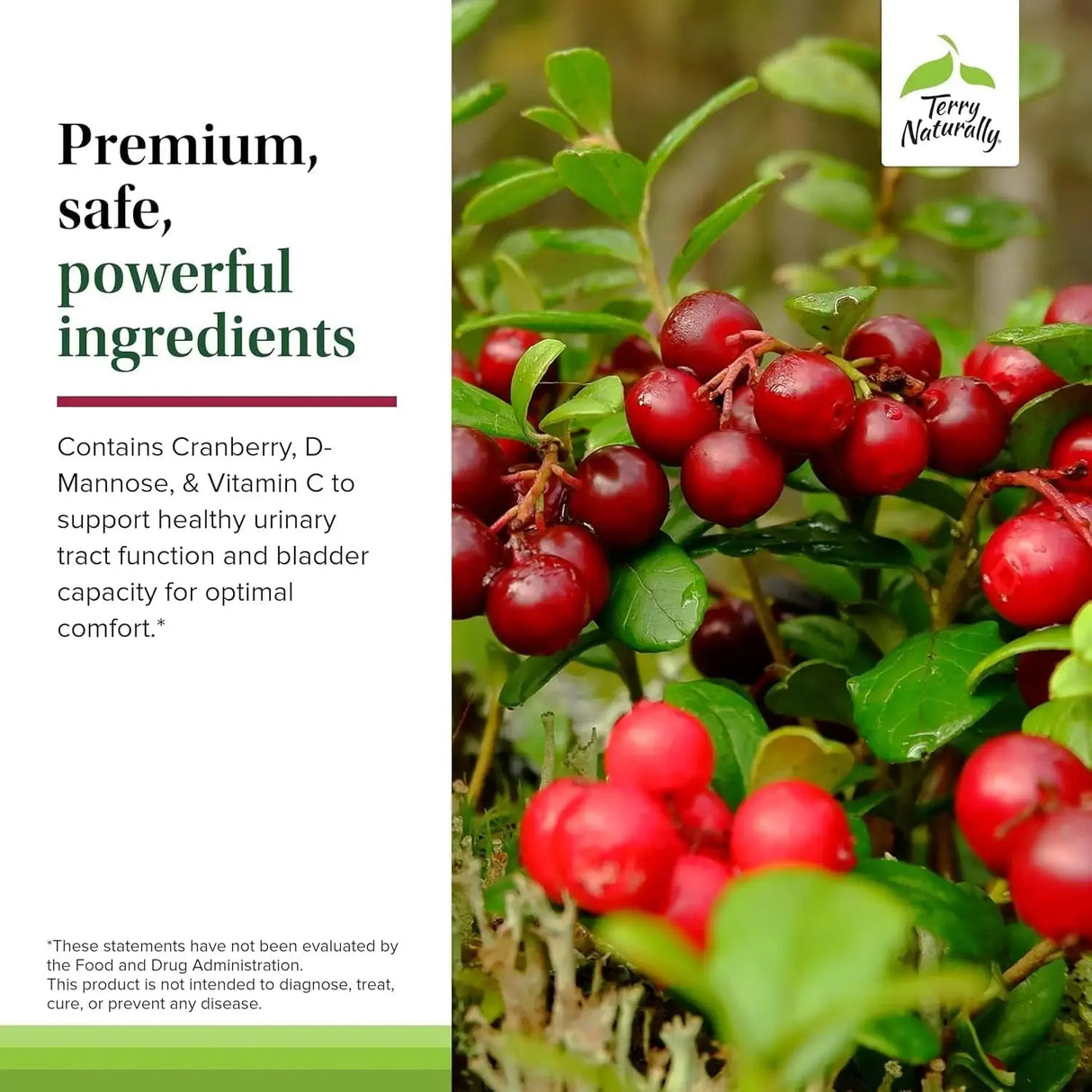 TERRY NATURALLY - Terry Naturally Urinary Tract Intensive Support 60 Capsulas - The Red Vitamin MX - Suplementos Alimenticios - {{ shop.shopifyCountryName }}