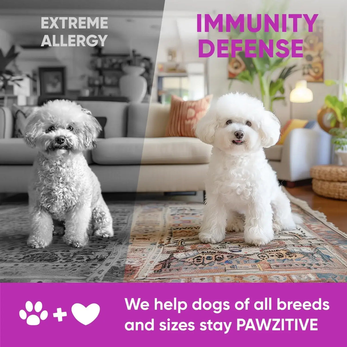 PAWZITIVE PETS - Pawzitive Pets Dog Allergy Relief Chews for Itchy Skin 120 Masticables - The Red Vitamin MX - Remedios Para La Picazón De Perros - {{ shop.shopifyCountryName }}