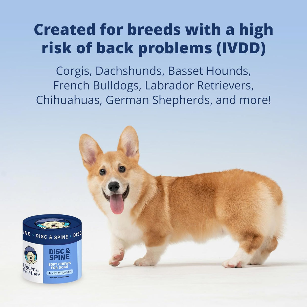 Under The Weather Pet Disc & Spine Health Chews for Dogs 60 Masticables