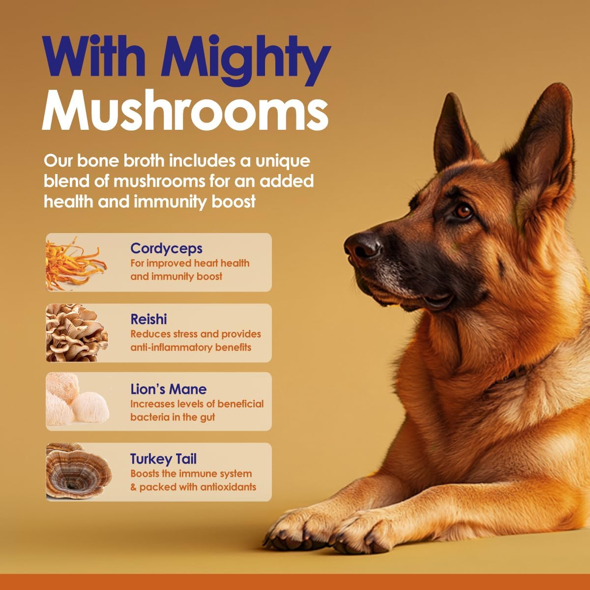 NULIFE - NuLife Natural Pet Health Grass-Fed Beef Bone Broth Powder for Dogs with Mushroom Blend 120Gr. - The Red Vitamin MX - Suplementos Herbales Para Perros - {{ shop.shopifyCountryName }}