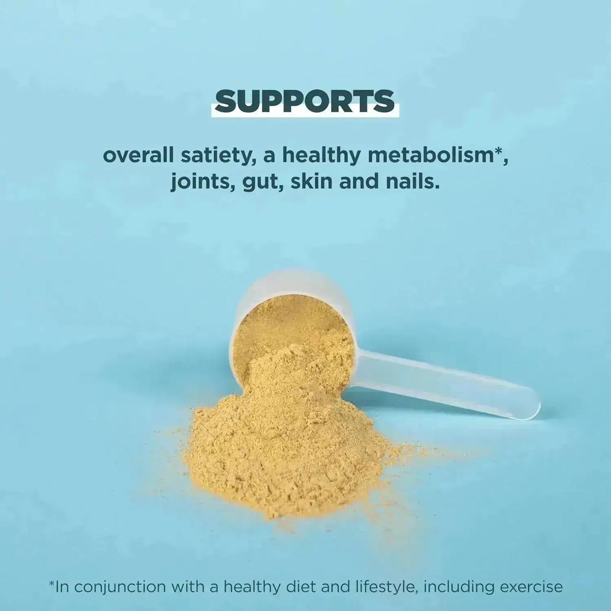 ANCIENT NUTRITION - Ancient Nutrition Bone Broth Protein Powder Tomato Basil 15 Servicios 387Gr. - The Red Vitamin MX - Suplementos Alimenticios - {{ shop.shopifyCountryName }}