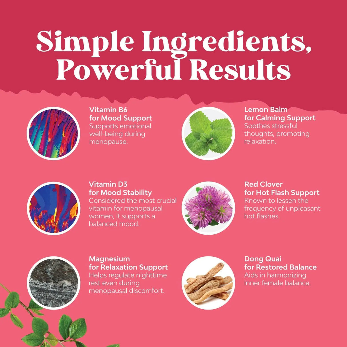 NATURES CRAFT - Natures Craft Menopause Support 120 Capsulas - The Red Vitamin MX - Suplementos Alimenticios - {{ shop.shopifyCountryName }}