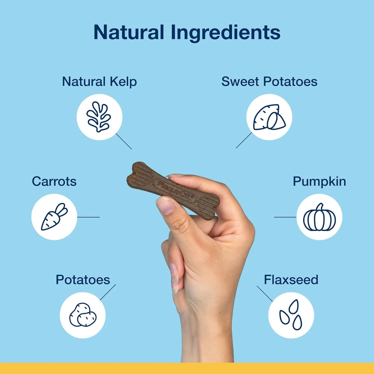 PRODEN - Proden PlaqueOff Sytem Mini Dental Care Bones for Dogs 20 Piezas - The Red Vitamin MX - Cuidado Dental Para Perros - {{ shop.shopifyCountryName }}