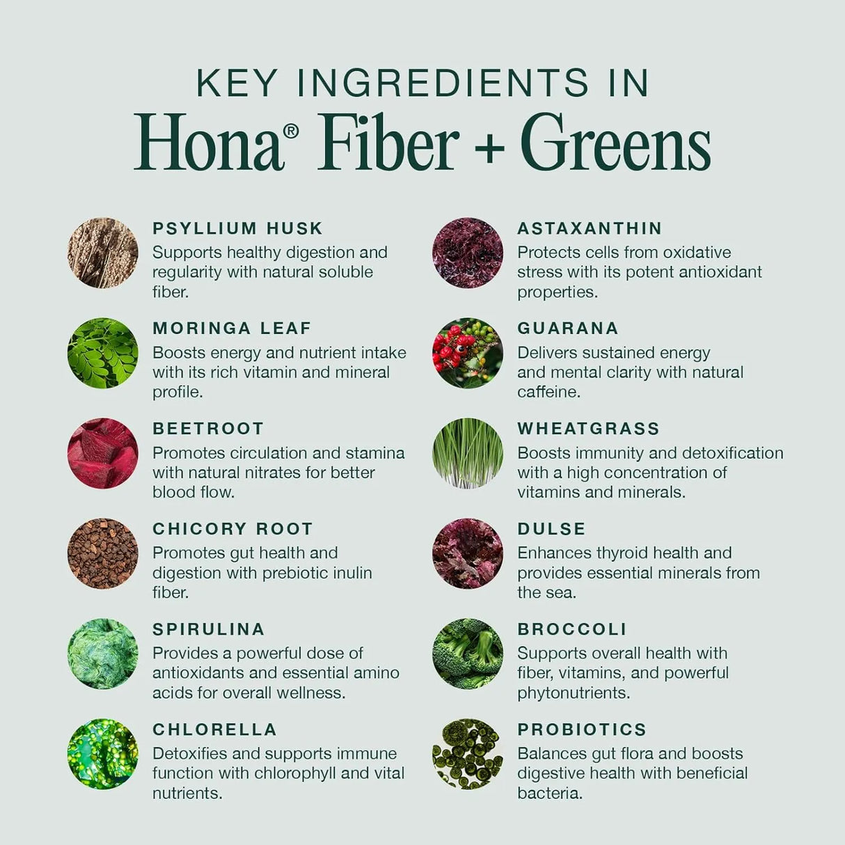 HONA - Hona Fiber & Greens Gut & Superfood Blend 15 Servicios 160Gr. - The Red Vitamin MX - Suplementos Alimenticios - {{ shop.shopifyCountryName }}
