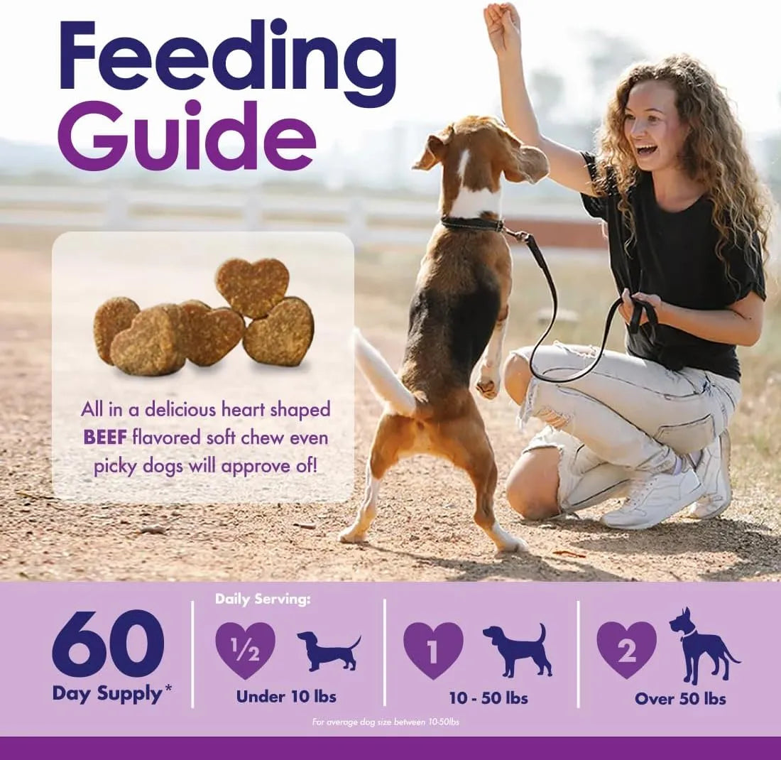 NULIFE - NuLife Natural Pet Health Dog Multivitamin 22-in-1 Support 60 Masticables - The Red Vitamin MX - Multivitamínicos Para Perros - {{ shop.shopifyCountryName }}