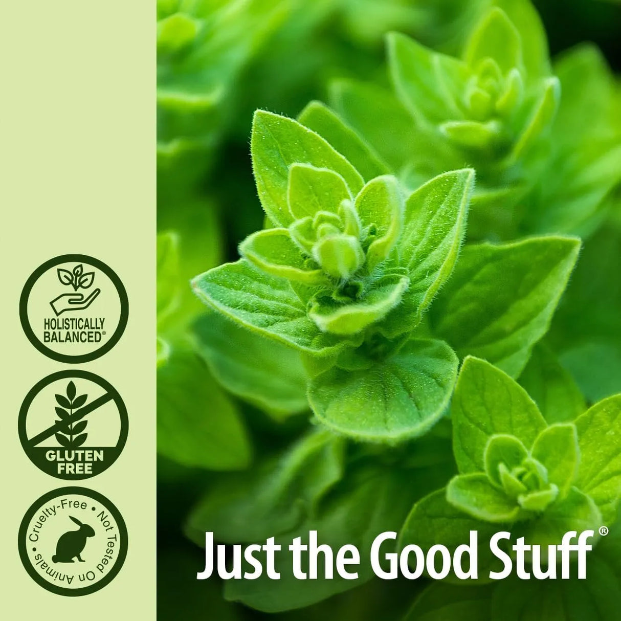 NATURE´S ANSWER - Nature's Answer Oil of Oregano 150Mg. 90 Capsulas Blandas - The Red Vitamin MX - Suplementos Alimenticios - {{ shop.shopifyCountryName }}