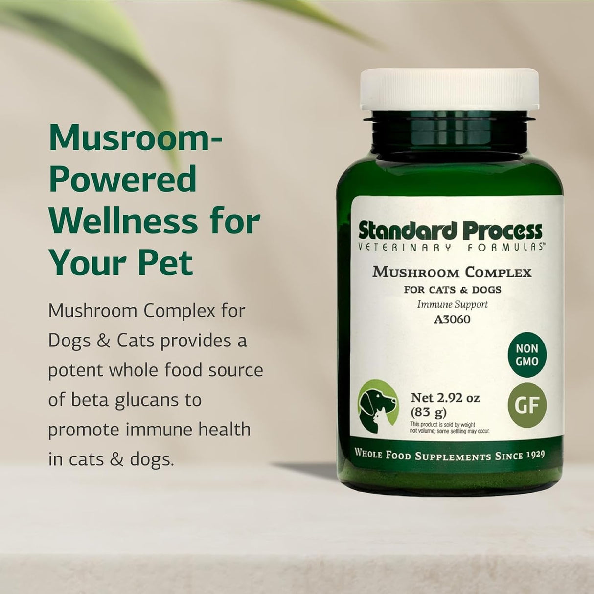 STANDARD PROCESS - Standard Process Mushroom Complex for Dogs & Cats 83Gr. - The Red Vitamin MX - Suplementos Herbales Para Perros - {{ shop.shopifyCountryName }}