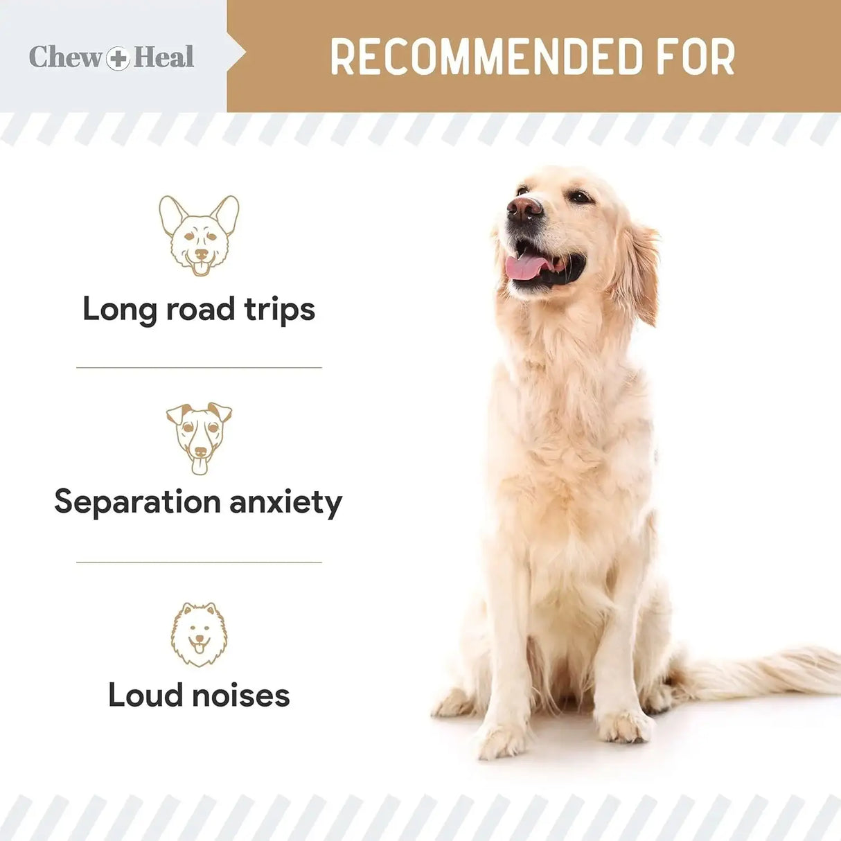 CHEW + HEAL - Chew + Heal Labs Calming Chews for Dogs Peanut Butter 60 Masticables - The Red Vitamin MX - Relajantes Para Perros - {{ shop.shopifyCountryName }}