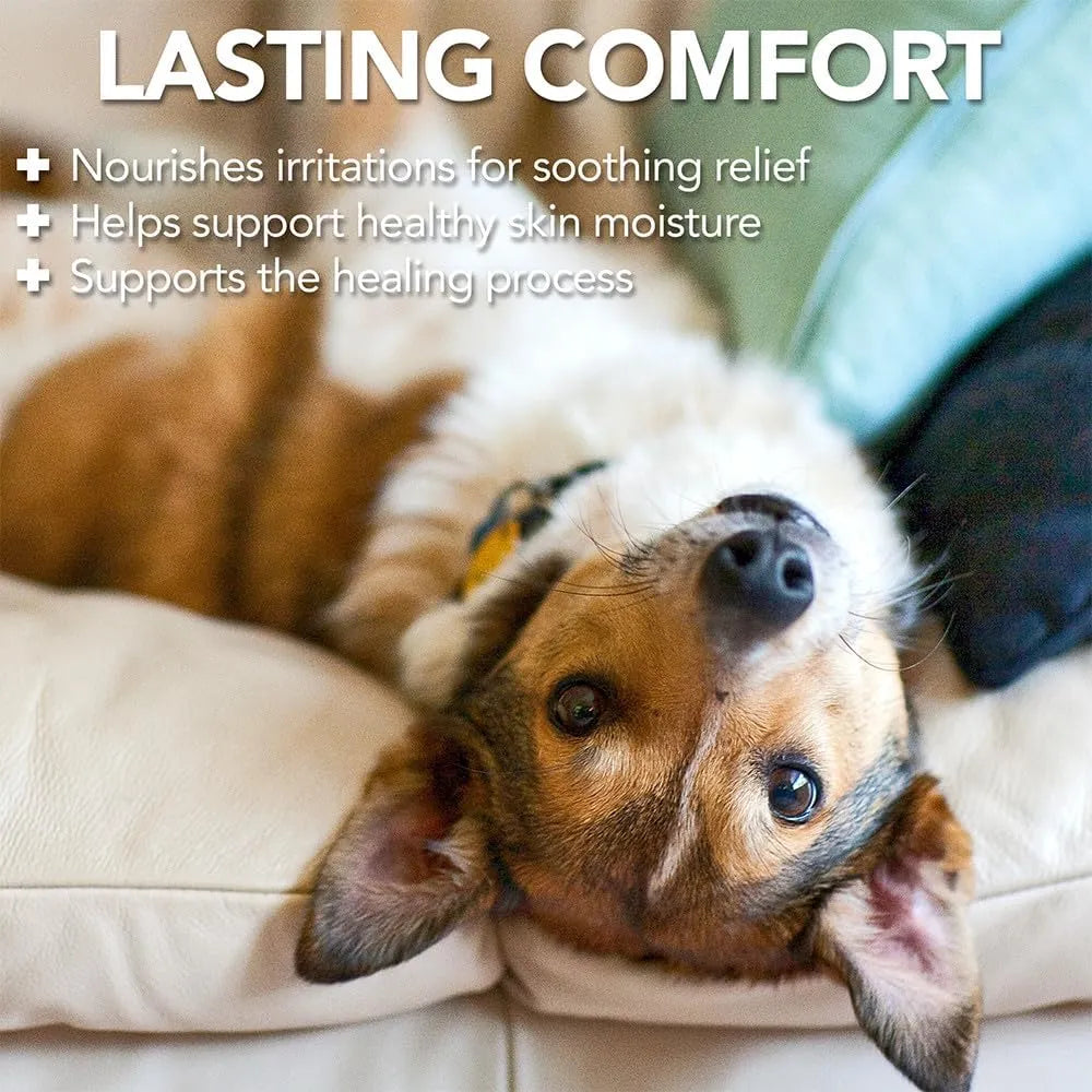 VET'S BEST - Vet's Best Dog Hot Spot Itch Relief Spray for Dogs 16 Fl.Oz. - The Red Vitamin MX - Remedios Para La Picazón De Perros - {{ shop.shopifyCountryName }}