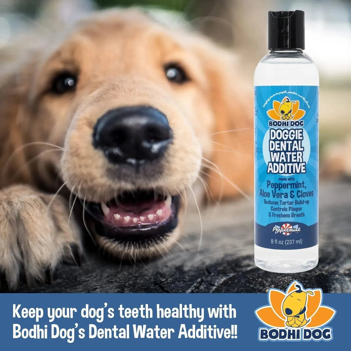 BODHI - Bodhi Dog Peppermint Dental Dog Water Additive 240Ml. - The Red Vitamin MX - Cuidado Dental Para Perros - {{ shop.shopifyCountryName }}