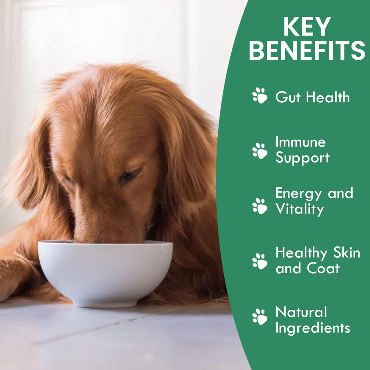 HOLISTIC BIN - Holistic Bin Canine Beef Liver Powder 50Gr. - The Red Vitamin MX - Multivitamínicos Para Perros - {{ shop.shopifyCountryName }}