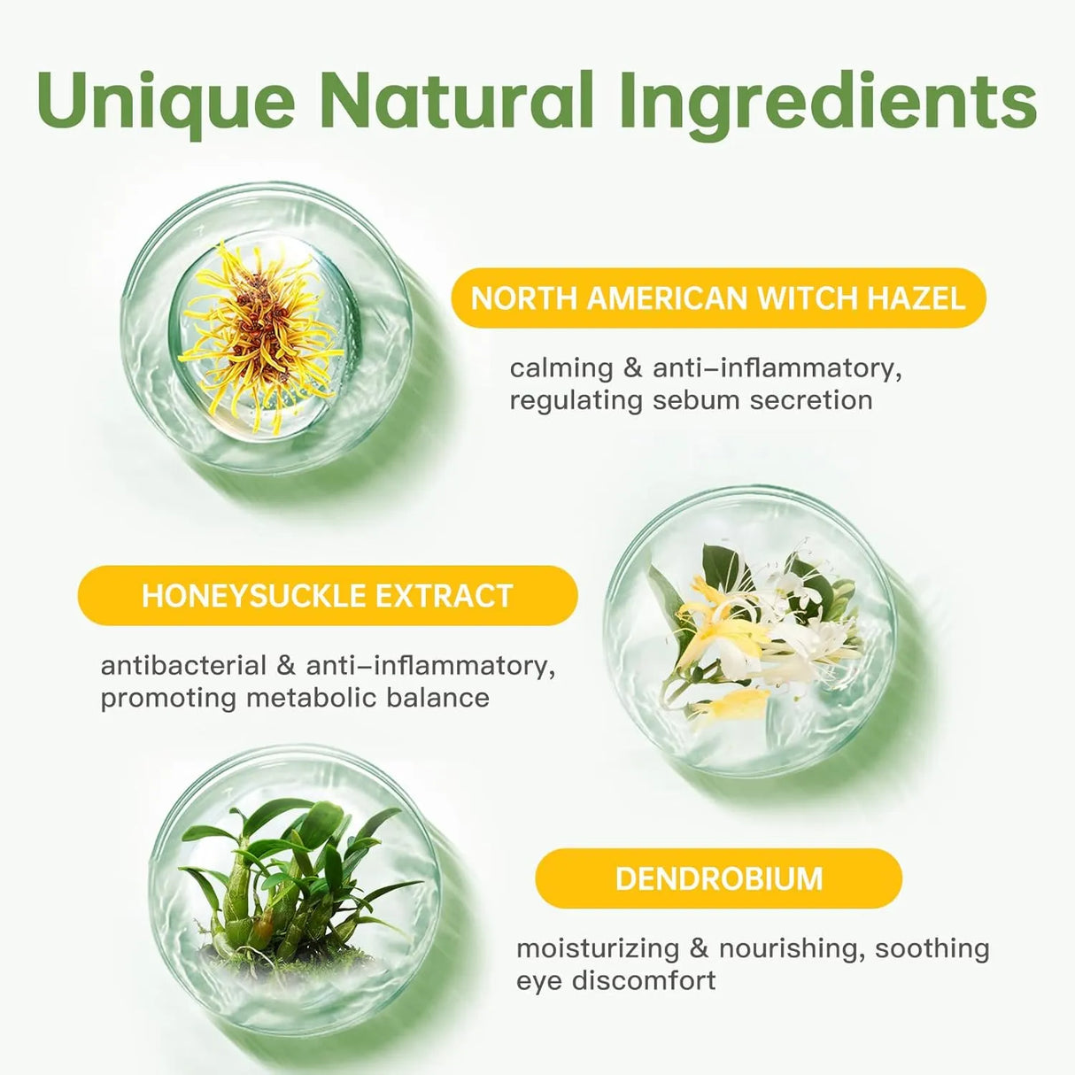 ANCOPAWS - Ancopaws Eye Drops for Dogs & Cats 2 Fl.Oz. - The Red Vitamin MX - Cuidado De Los Ojos De Los Perros - {{ shop.shopifyCountryName }}