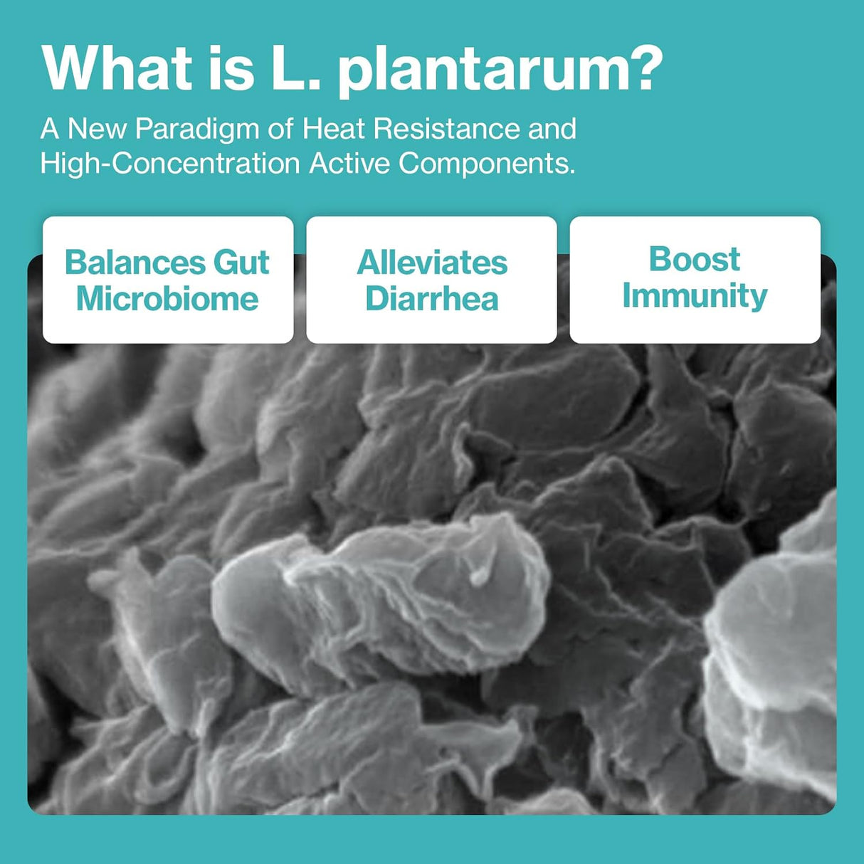 Dr.by CAT BIOME Cat Probiotics 30 Paquetes