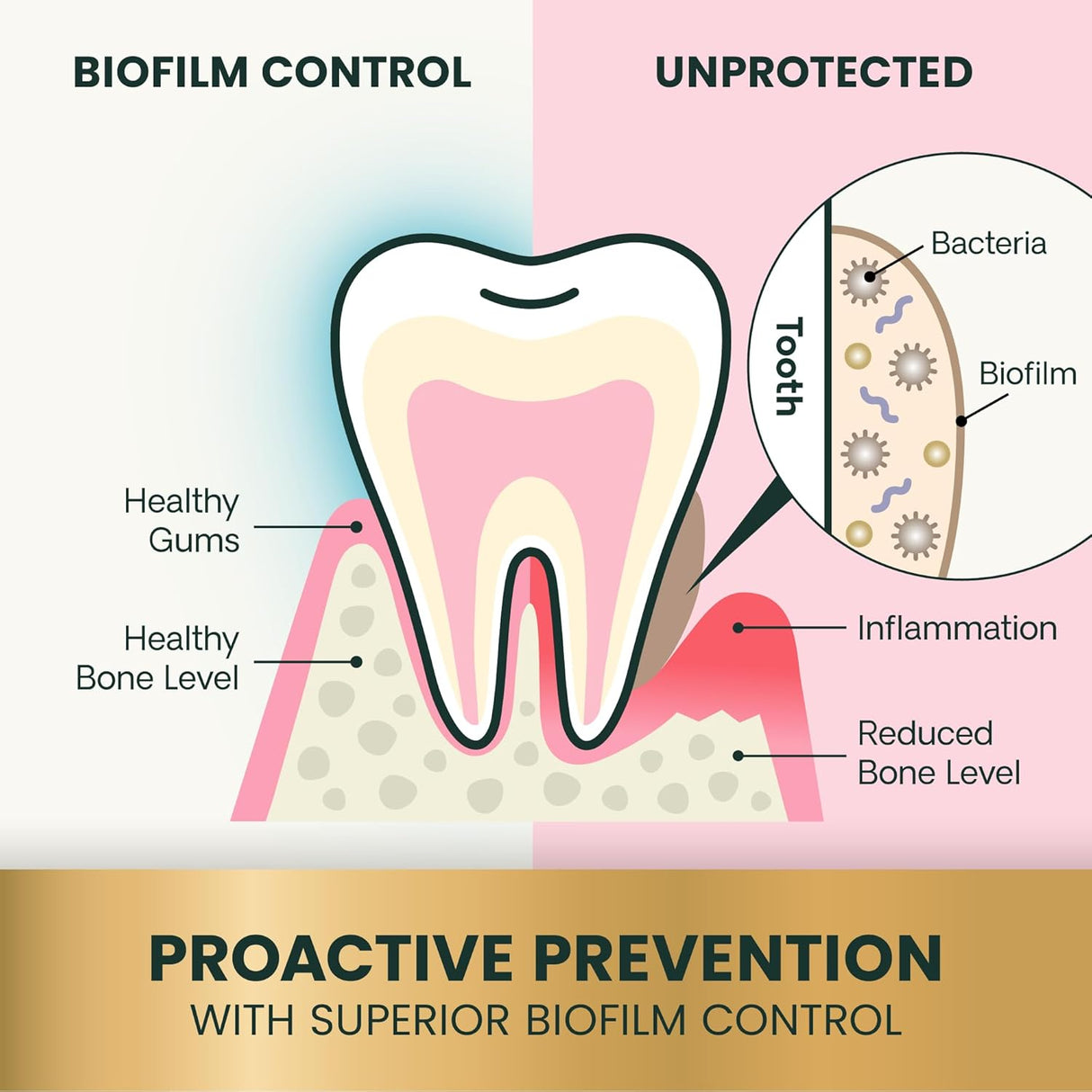 VetriScience Perio Plus Cat Teeth Cleaning Bites Chicken Flavor 60 Masticables