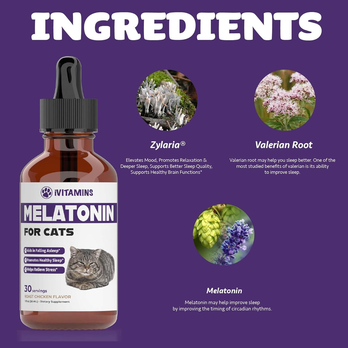 iVitamins Melatonin for Cats 1 Fl.Oz.
