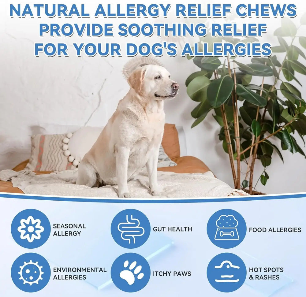 WEALLIN - WEALLIN Allergy Relief Chews 200 Masticables - The Red Vitamin MX - Remedios Para La Picazón De Perros - {{ shop.shopifyCountryName }}