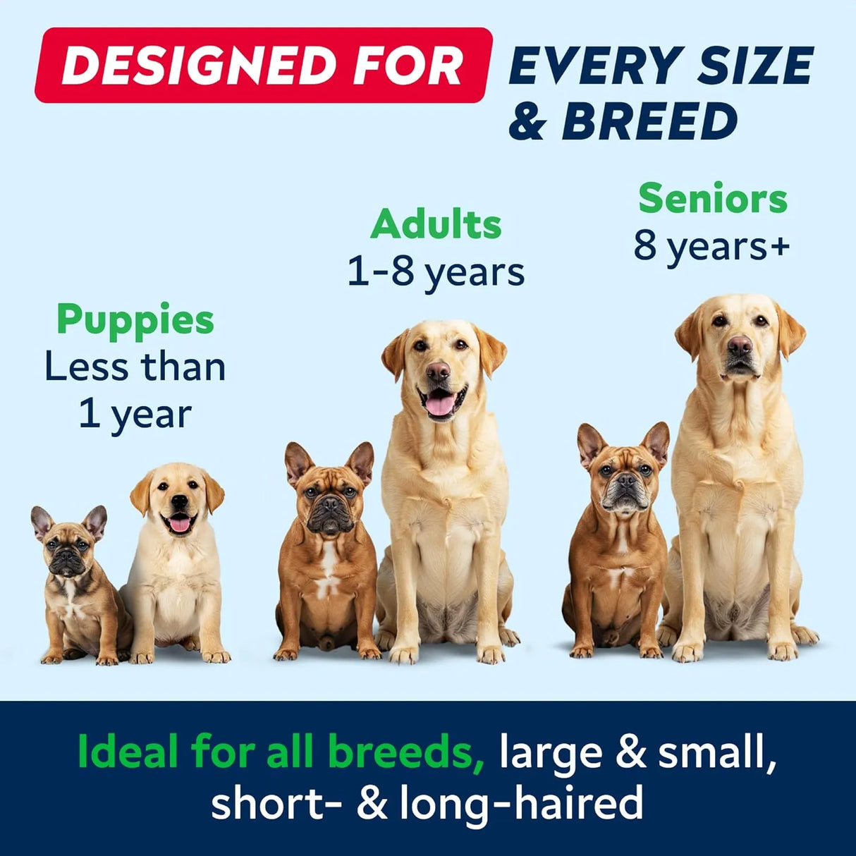 STRELLALAB - StrellaLab Wild Alaskan Salmon Oil for Dogs 8 Fl.Oz. - The Red Vitamin MX - Aceite De Pescado Para Perros - {{ shop.shopifyCountryName }}