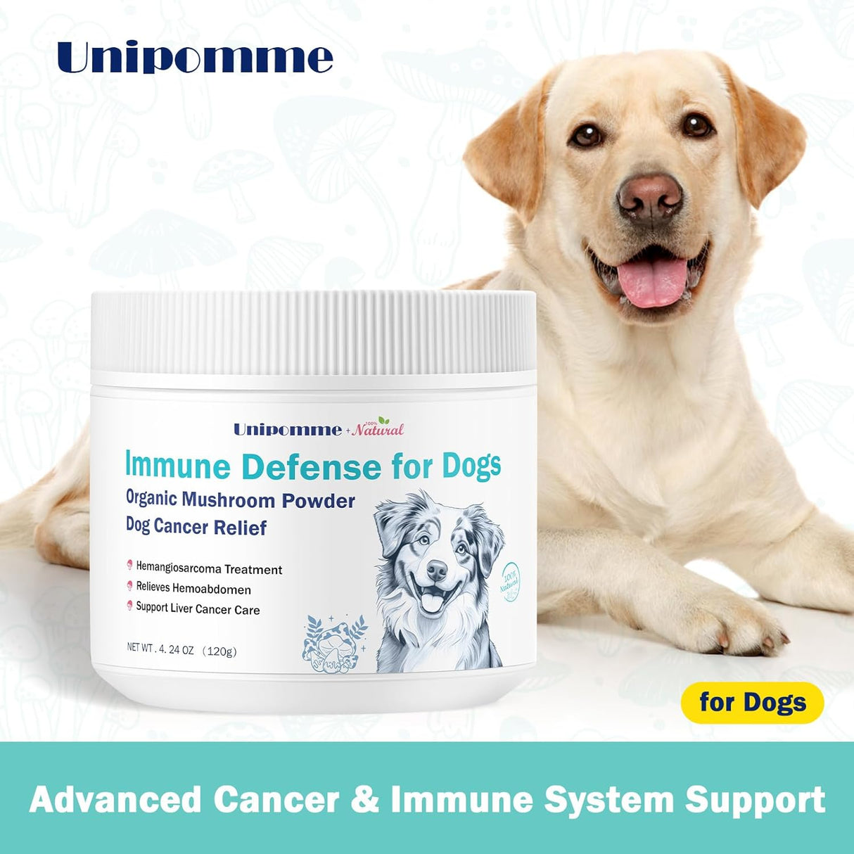 UNIPOMME - Unipomme Dogs Guard Defense Immune 120Gr. - The Red Vitamin MX - Suplementos Herbales Para Perros - {{ shop.shopifyCountryName }}