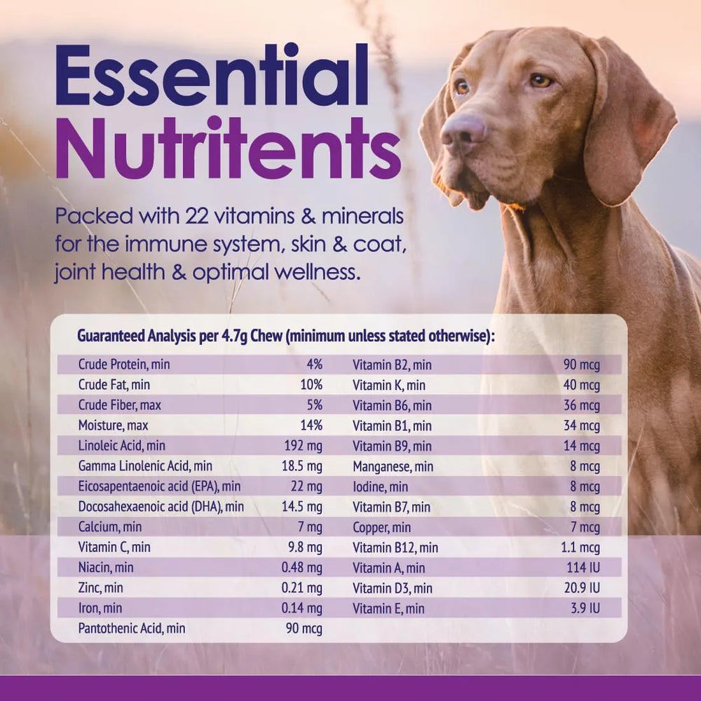 NULIFE - NuLife Natural Pet Health Dog Multivitamin 22-in-1 Support 60 Masticables - The Red Vitamin MX - Multivitamínicos Para Perros - {{ shop.shopifyCountryName }}