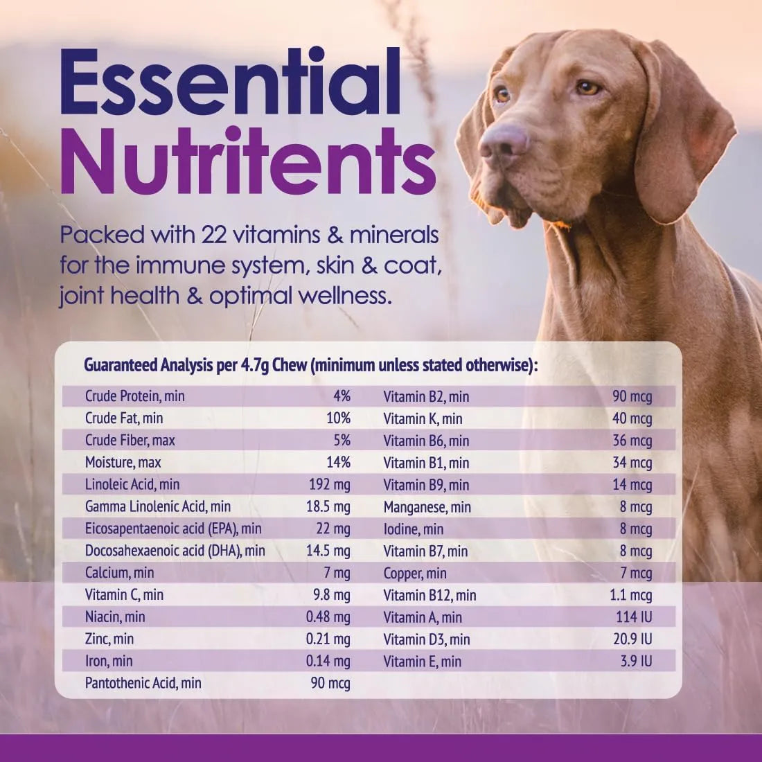 NULIFE - NuLife Natural Pet Health Dog Multivitamin 22-in-1 Support 60 Masticables - The Red Vitamin MX - Multivitamínicos Para Perros - {{ shop.shopifyCountryName }}