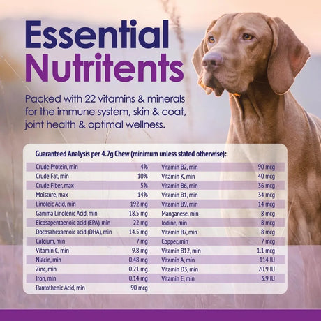 NULIFE - NuLife Natural Pet Health Dog Multivitamin 22-in-1 Support 60 Masticables - The Red Vitamin MX - Multivitamínicos Para Perros - {{ shop.shopifyCountryName }}