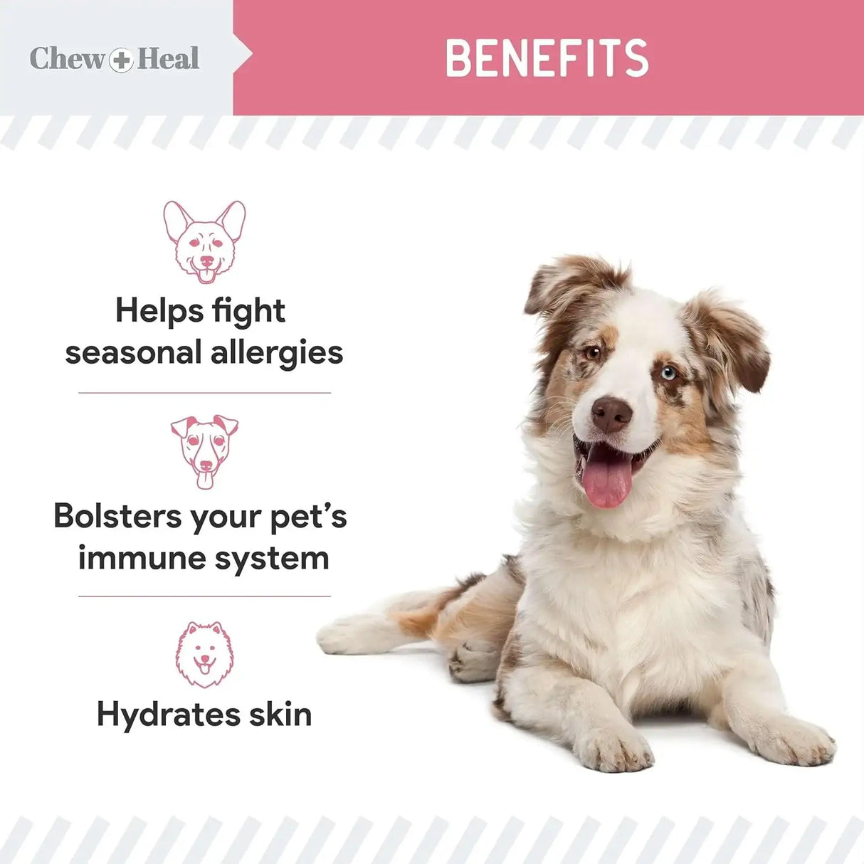 CHEW + HEAL - Chew + Heal Labs Dog Allergy Chews 90 Masticables - The Red Vitamin MX - Remedios Para La Picazón De Perros - {{ shop.shopifyCountryName }}