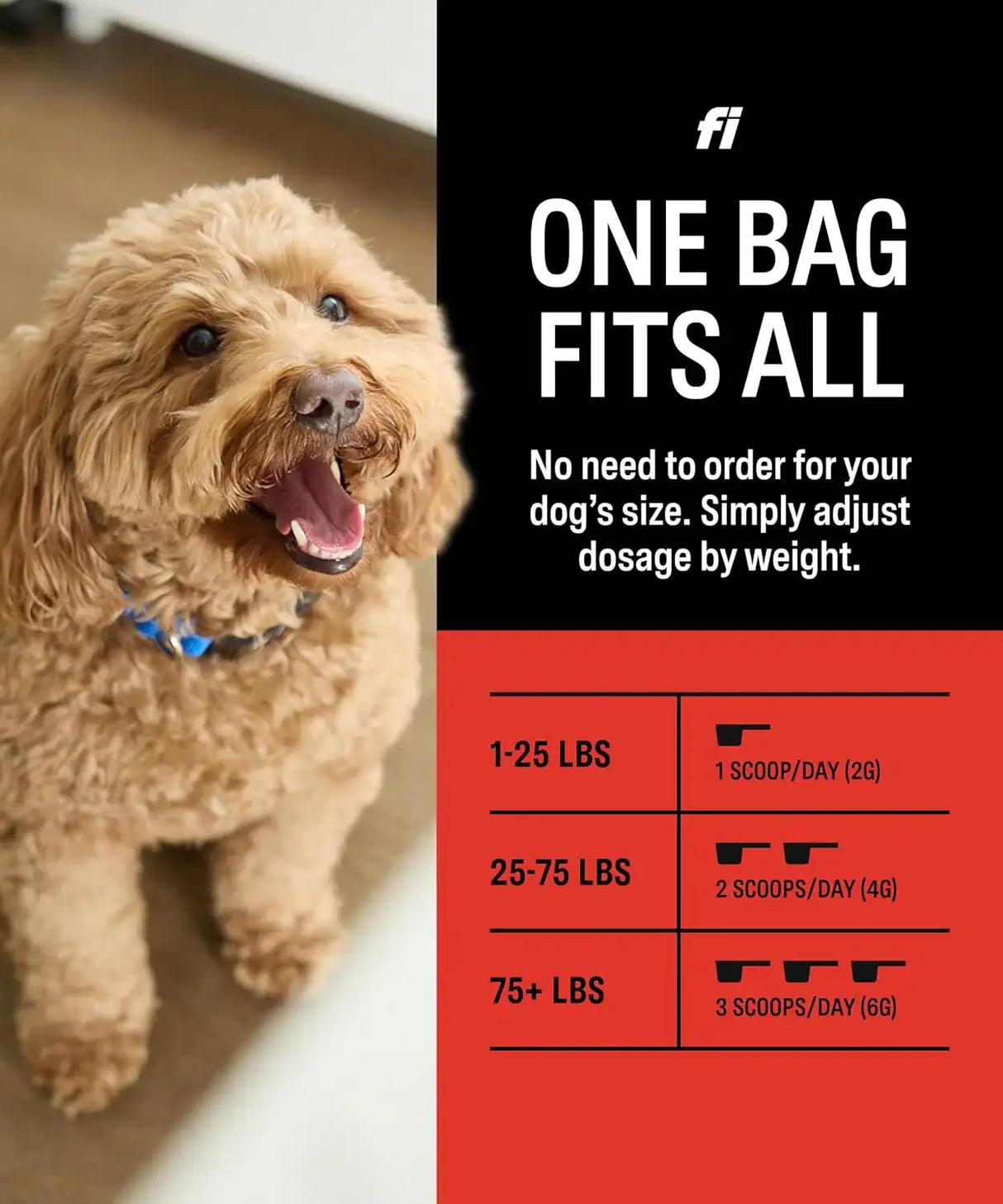 FI - Fi Hip & Joint Supplement for Dogs Powder Joint Support 90 Servicios 180Gr. - The Red Vitamin MX - Cuidado De Cadera Y Articulaciones Para Perros - {{ shop.shopifyCountryName }}