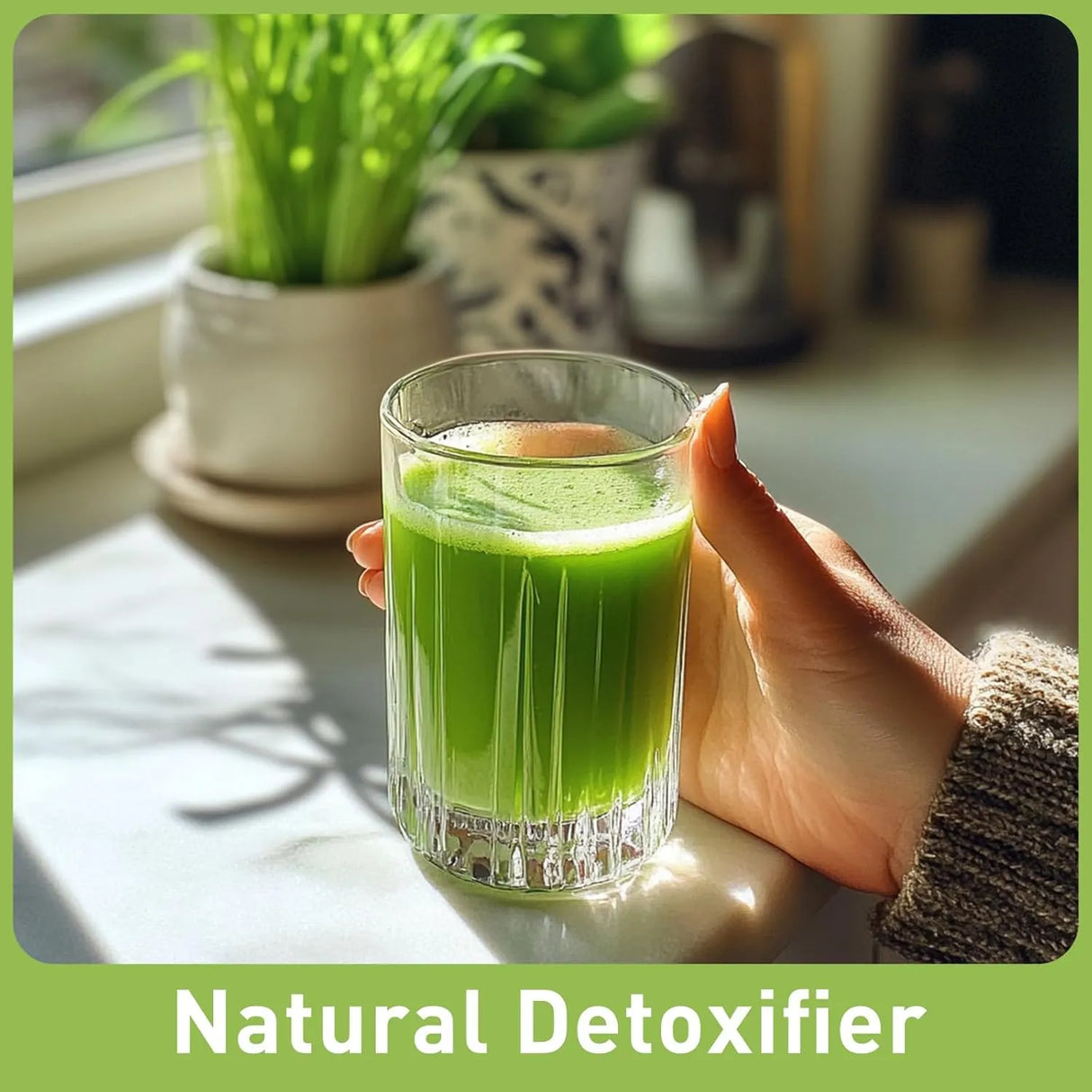 UNLEASH'D ORGANIC - UNLEASH'D ORGANIC Organic Wheat Grass Juice Powder 1 Lb. - The Red Vitamin MX - Suplementos Alimenticios - {{ shop.shopifyCountryName }}