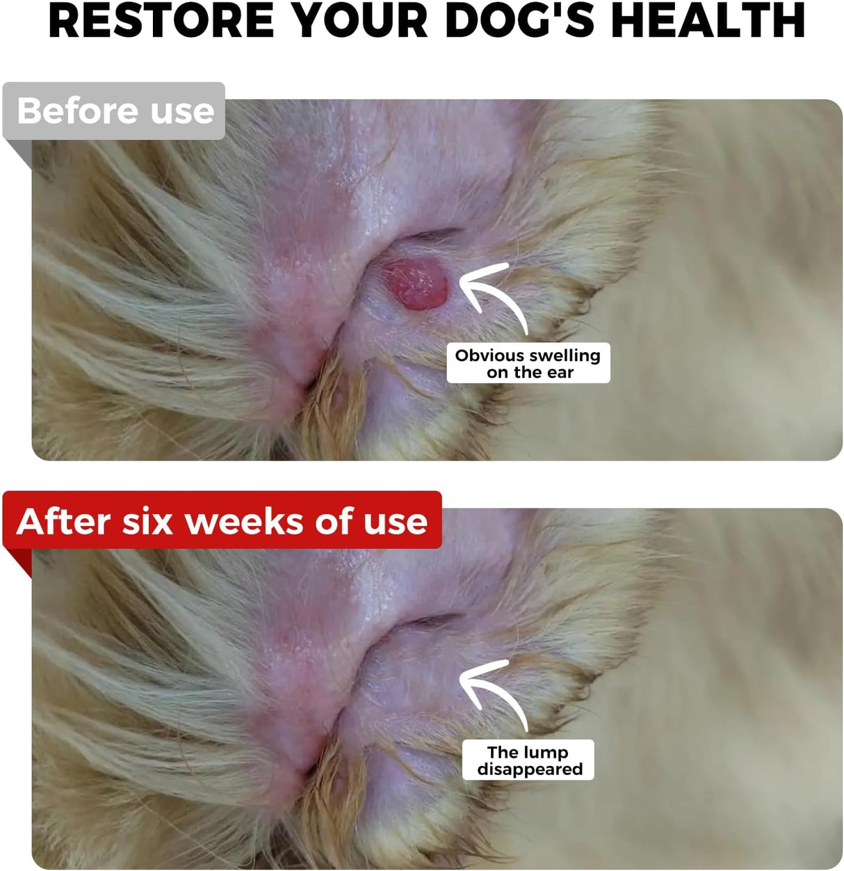 VIVAELIXIR - VivaElixir Immune Support Chews with Turkey Tail Mushroom Reishi Shiitake Maitake Curcumin & CoQ10 150 Masticables - The Red Vitamin MX - Suplementos Herbales Para Perros - {{ shop.shopifyCountryName }}