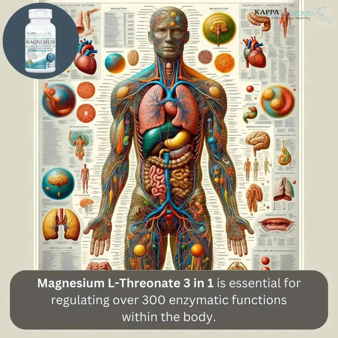 KAPPA NUTRITION - KAPPA NUTRITION Magnesium 90 Capsulas - The Red Vitamin MX - Suplementos Alimenticios - {{ shop.shopifyCountryName }}