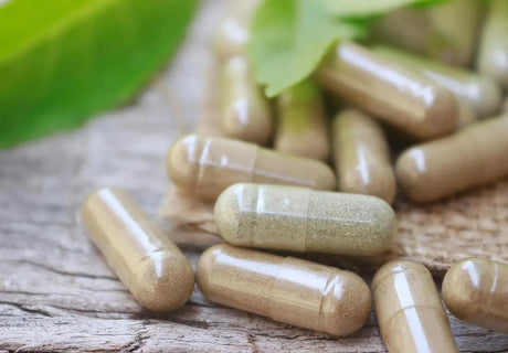 DR. HERBALIST - Dr. Herbalist Mucuna Extract 350Mg. 60 Capsulas - The Red Vitamin MX - Suplementos Alimenticios - {{ shop.shopifyCountryName }}