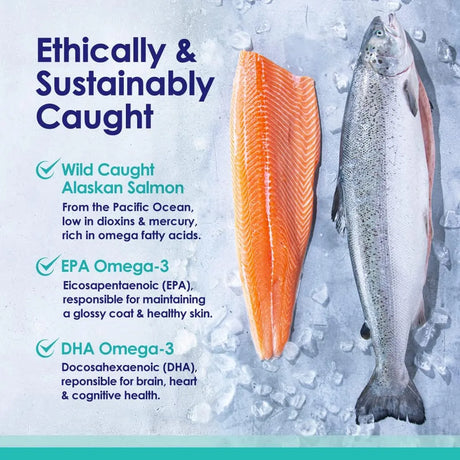 NULIFE - NuLife Pure Wild Alaskan Salmon Oil for Dogs 120 Capsulas Blandas - The Red Vitamin MX - Aceite De Pescado Para Perros - {{ shop.shopifyCountryName }}