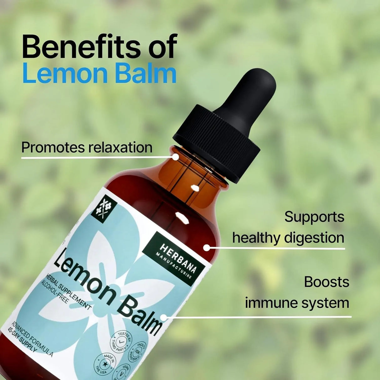 HERBANA - Herbana Lemon Balm Liquid Extract 2 Fl.Oz. - The Red Vitamin MX - Suplementos Alimenticios - {{ shop.shopifyCountryName }}