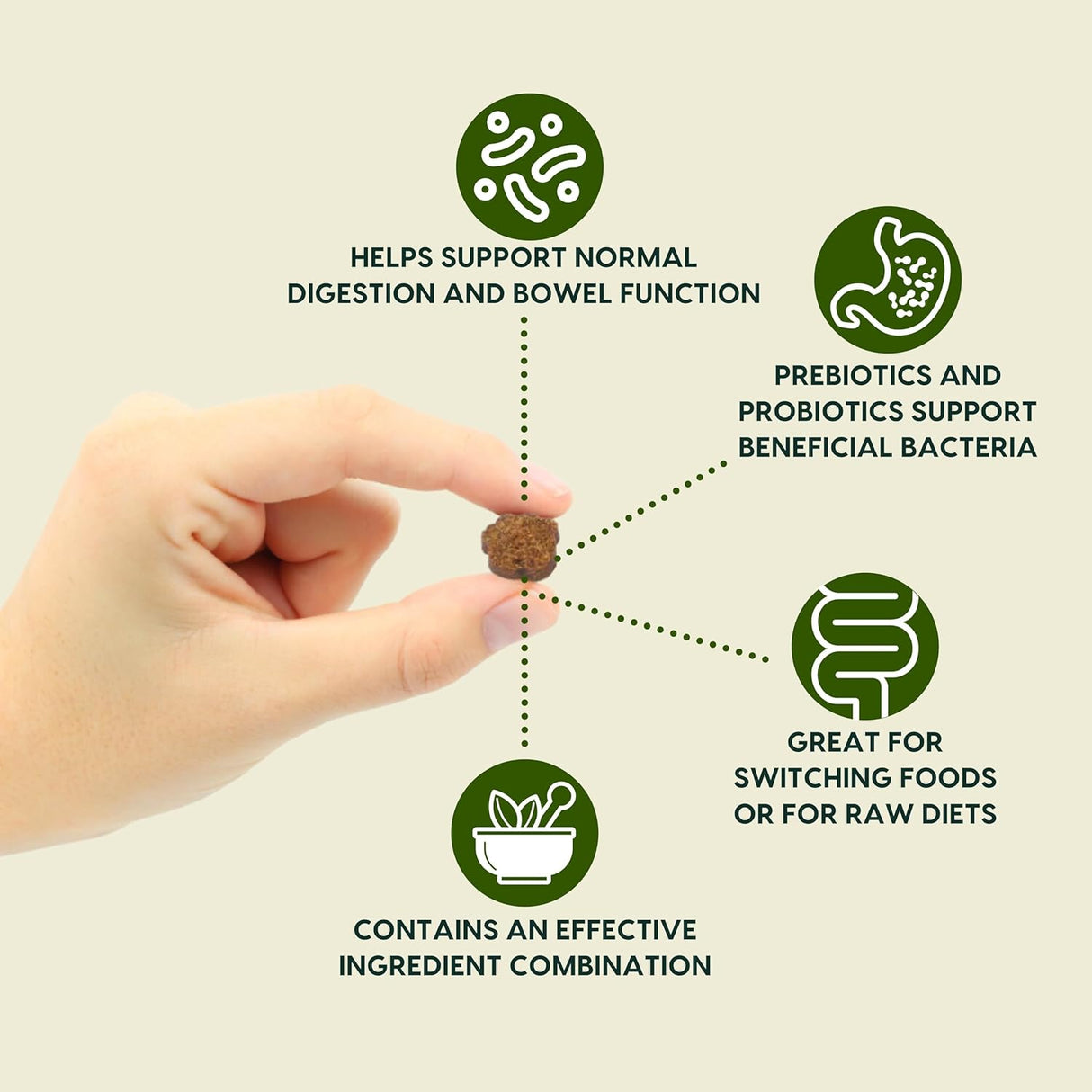 ARK NATURALS Gentle Digest Soft Chews 120 Masticables