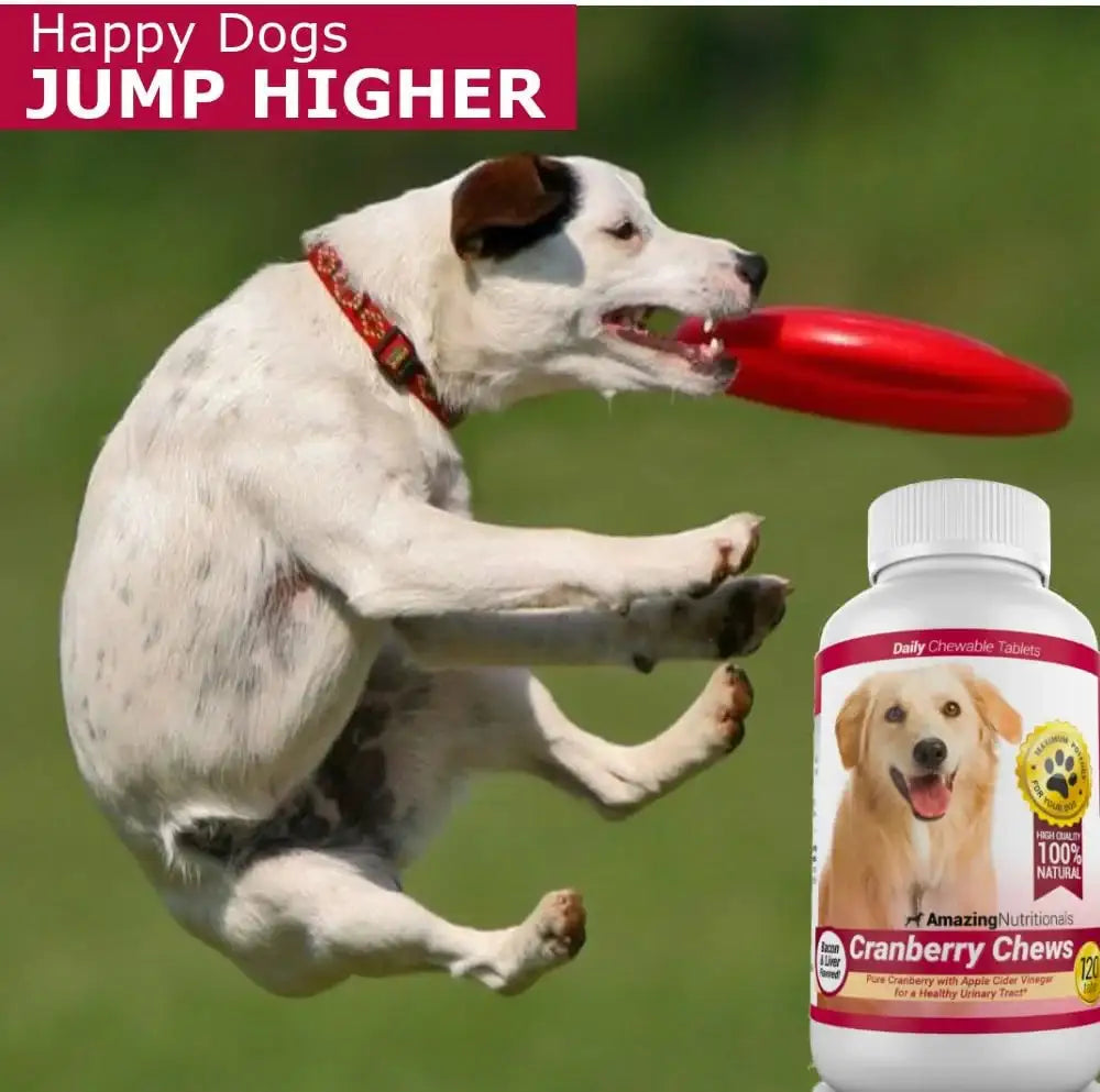 AMAZING NUTRITIONALS - Amazing Nutritionals Amazing Cranberry for Dogs 120 Masticables - The Red Vitamin MX - Salud De Tracto Urinario Para Perros - {{ shop.shopifyCountryName }}