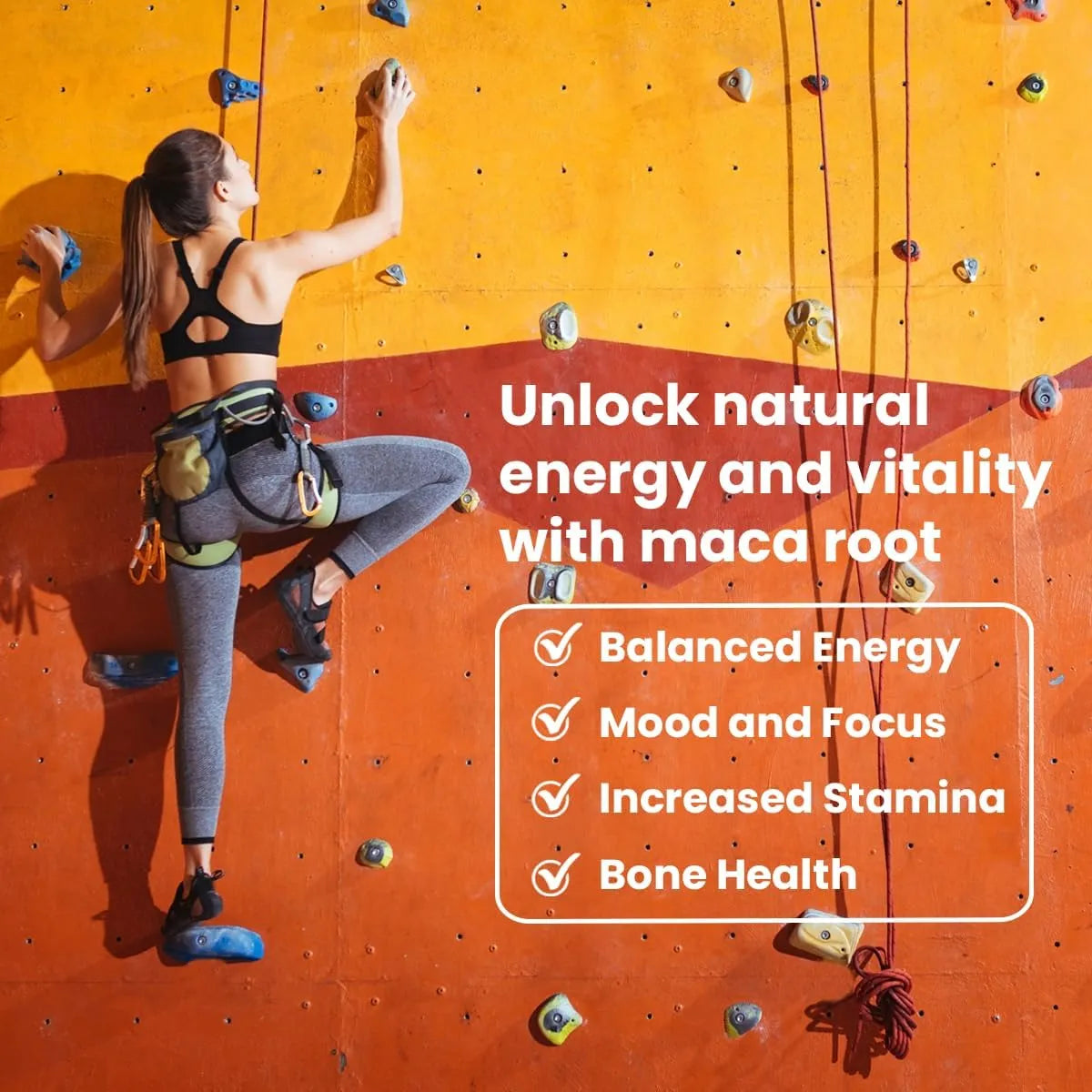 SANAR NATURALS - Sanar Naturals Maca Root 1000Mg. 120 Capsulas - The Red Vitamin MX - Suplementos Alimenticios - {{ shop.shopifyCountryName }}