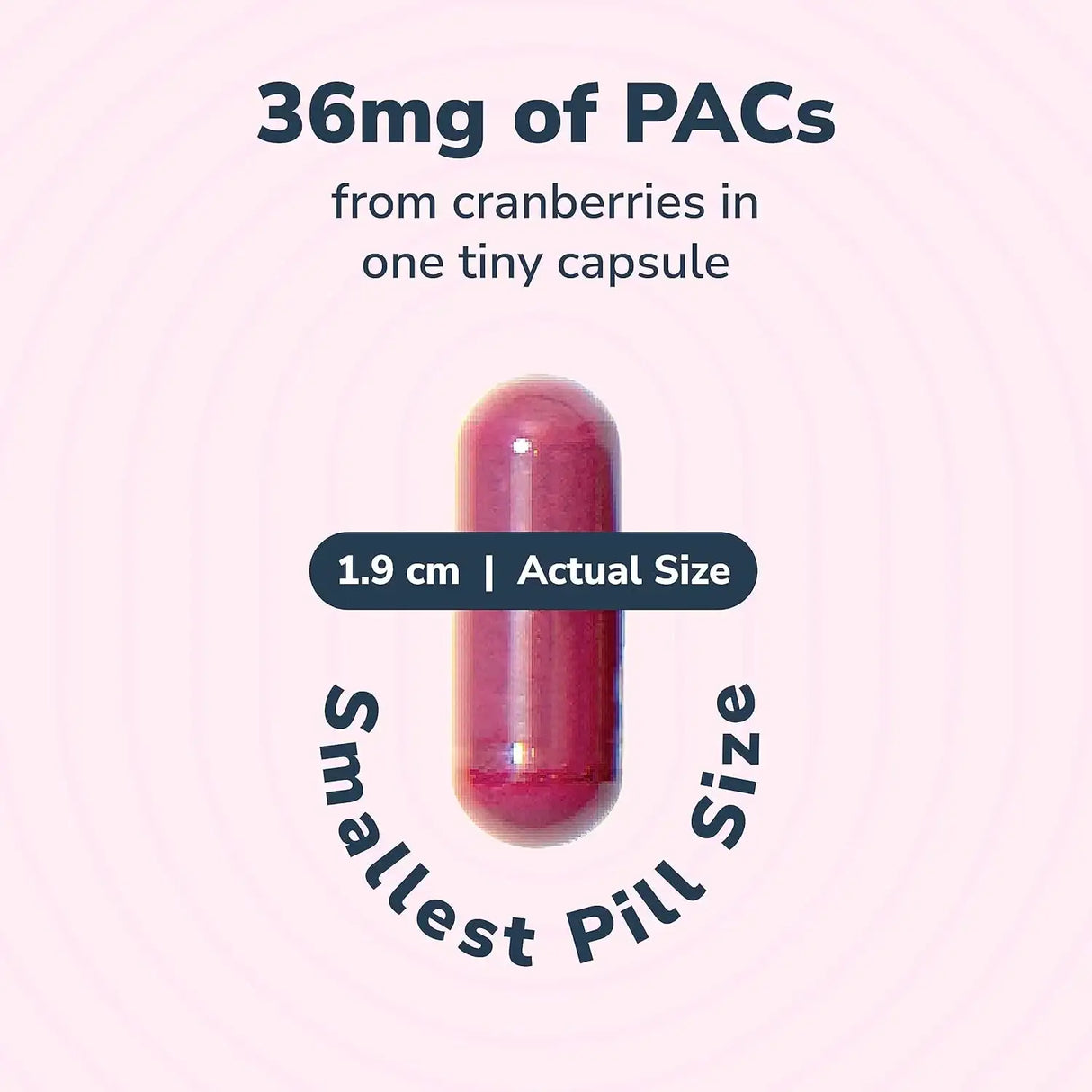 UTIVA - Utiva Cranberry PACs 90 Capsulas - The Red Vitamin MX - Suplementos Alimenticios - {{ shop.shopifyCountryName }}