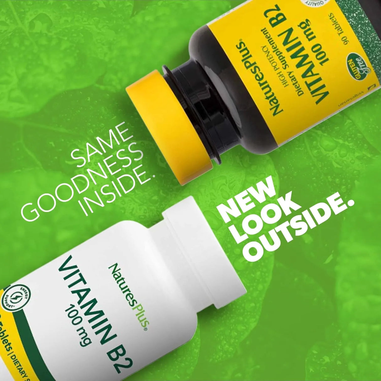 NATURES PLUS - Natures Plus Vitamin B2 100Mg. 90 Tabletas - The Red Vitamin MX - Suplementos Alimenticios - {{ shop.shopifyCountryName }}