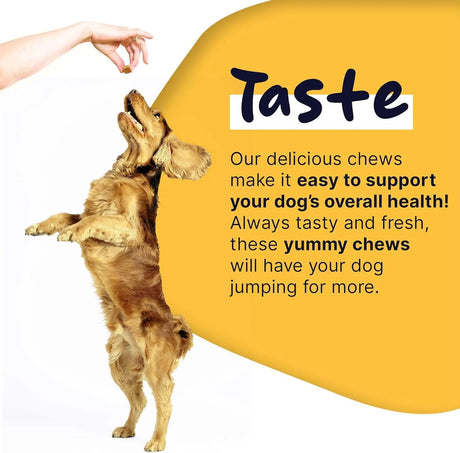 HEALTHY PUP - Healthy Pup Dog Multivitamin 120 Masticables - The Red Vitamin MX - Multivitamínicos Para Perros - {{ shop.shopifyCountryName }}