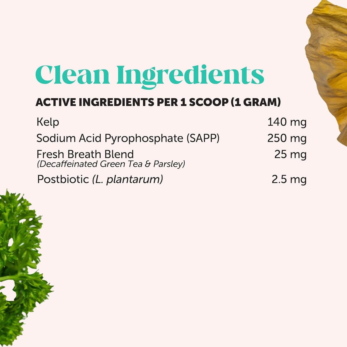 Pet Honesty Cat Breath Freshener Dental Powder 60 Servicios