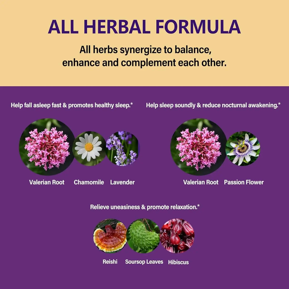 EUBRITION - Eubrition Valerian Root Sleep Support Drops 2 Fl.Oz. - The Red Vitamin MX - Suplementos Alimenticios - {{ shop.shopifyCountryName }}