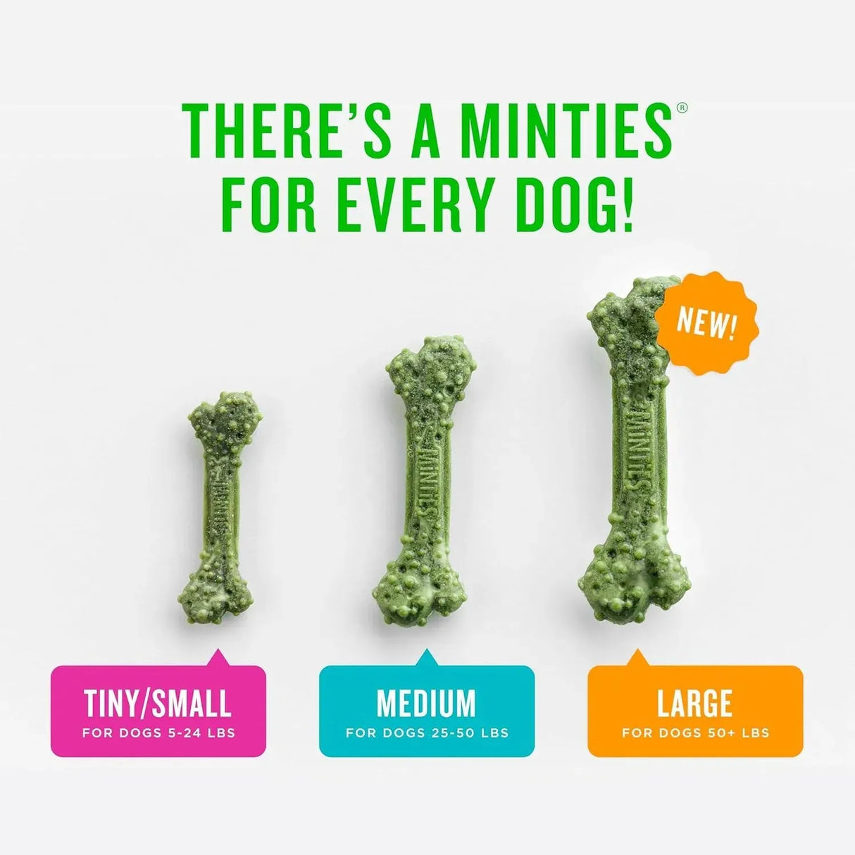 MINTIES - Minties Dental Chews for Dogs Large Dogs Over 50 lbs 24 Piezas - The Red Vitamin MX - Cuidado Dental Para Perros - {{ shop.shopifyCountryName }}
