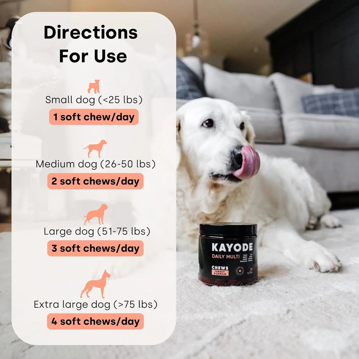 KAYODE - Kayode Daily Multi Dog Multivitamin & Superfood Chew 90 Masticables - The Red Vitamin MX - Multivitamínicos Para Perros - {{ shop.shopifyCountryName }}