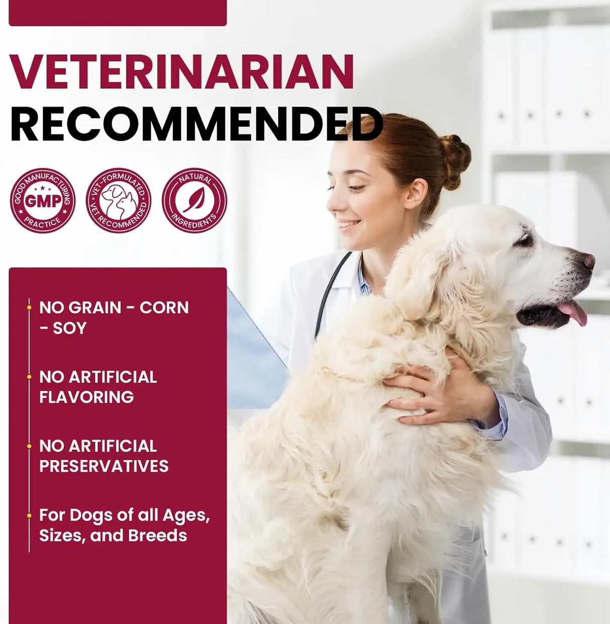 BUDDYCHEER - BuddyCheer Glucosamine for Dogs Hip and Joint Supplement Chews 180 Masticables - The Red Vitamin MX - Cuidado De Cadera Y Articulaciones Para Perros - {{ shop.shopifyCountryName }}