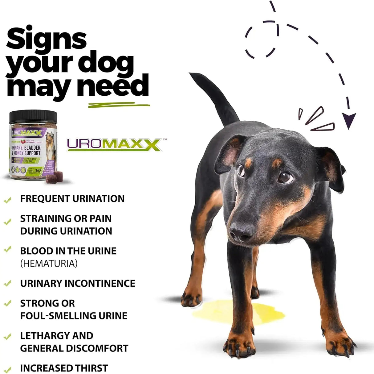 UROMAXX - UroMAXX Dog Urinary Tract Infection Treatment 90 Masticables - The Red Vitamin MX - Salud De Tracto Urinario Para Perros - {{ shop.shopifyCountryName }}