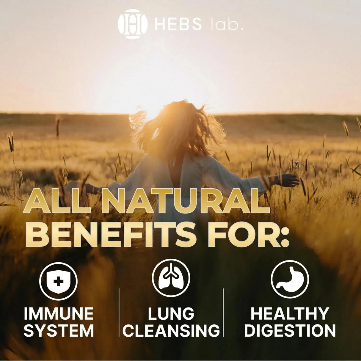 HEBS LAB. - HEBS LAB. Mullein Leaf Extract Organic Lung Cleanse 4 Fl.Oz. - The Red Vitamin MX - Suplementos Alimenticios - {{ shop.shopifyCountryName }}