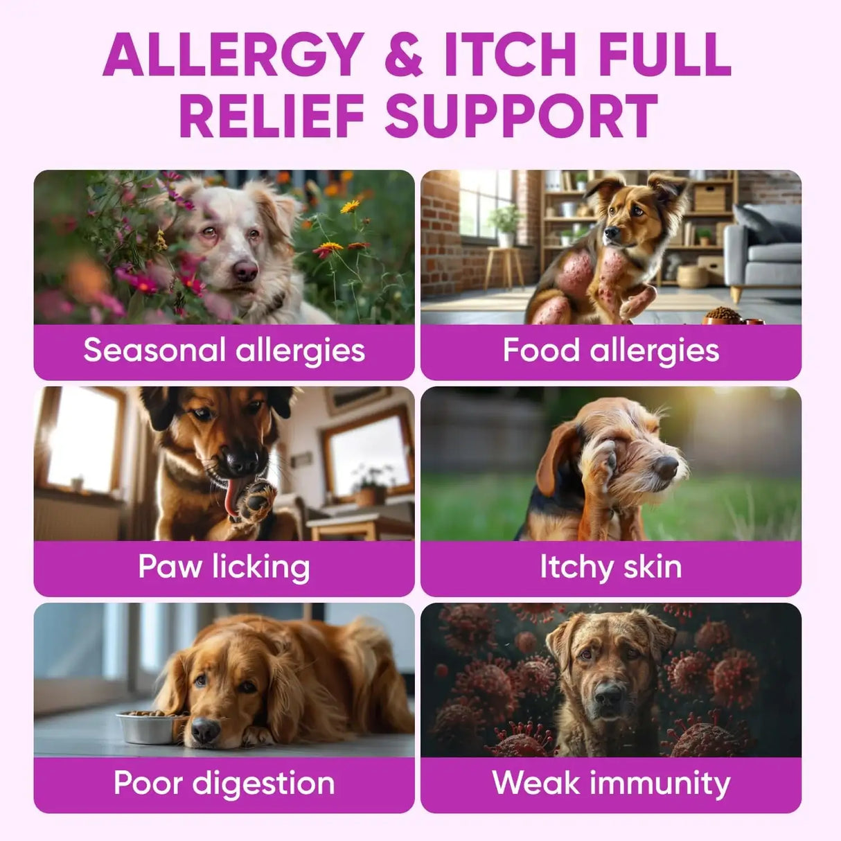 PAWZITIVE PETS - Pawzitive Pets Dog Allergy Relief Chews for Itchy Skin 120 Masticables - The Red Vitamin MX - Remedios Para La Picazón De Perros - {{ shop.shopifyCountryName }}
