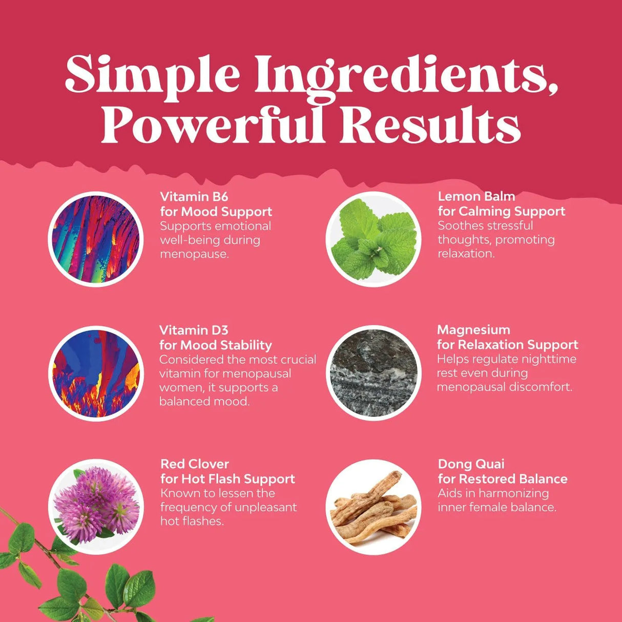 NATURES CRAFT - Natures Craft Menopause Support 60 Capsulas - The Red Vitamin MX - Suplementos Alimenticios - {{ shop.shopifyCountryName }}