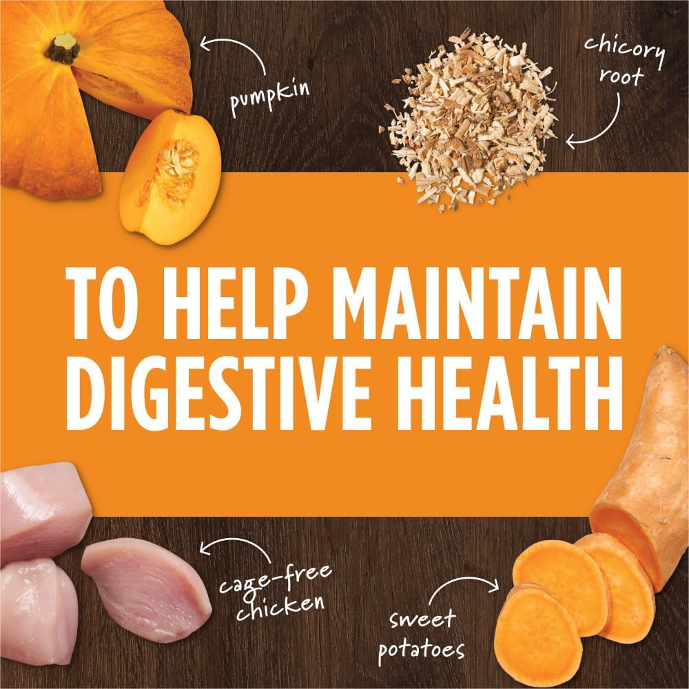 Instinct Raw Boost Mixers Gut Health Freeze-Dried Dog Food Topper 354Gr.